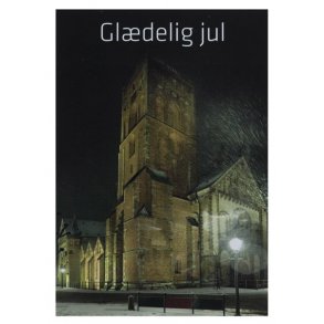 Ribe: Domkirken i snevejr (enkelt)