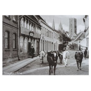 Ribe: Mellemdammen (ca. 1900-1920)